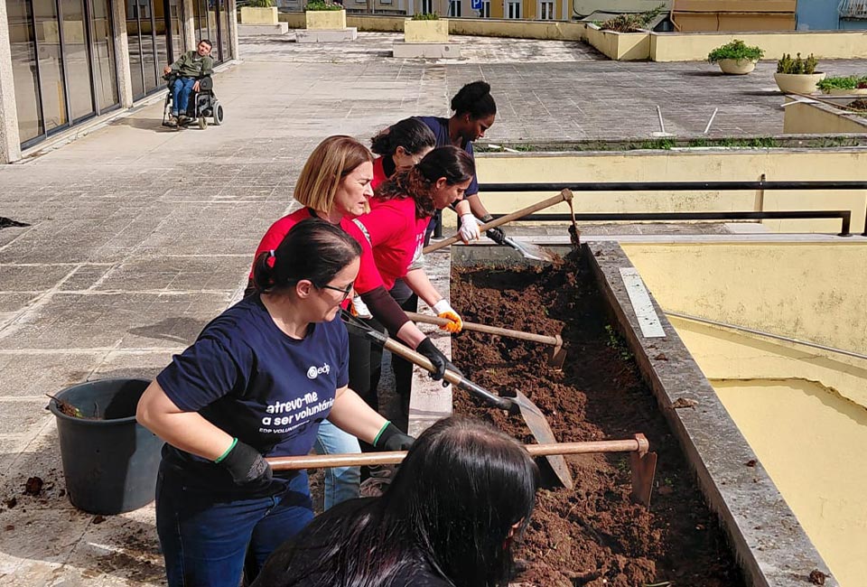 Voluntariado <b>Corporativo</b>